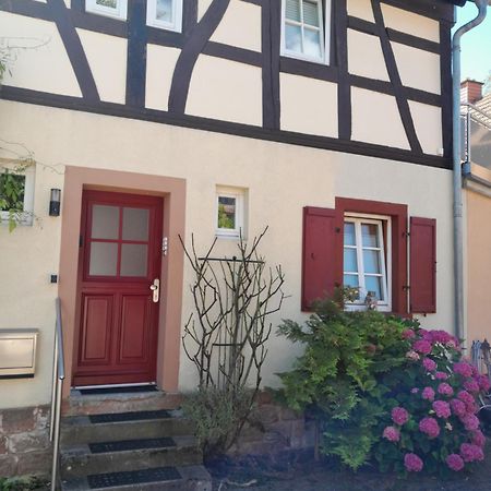 Ferienwohnung Piccolino Jockgrim Buitenkant foto