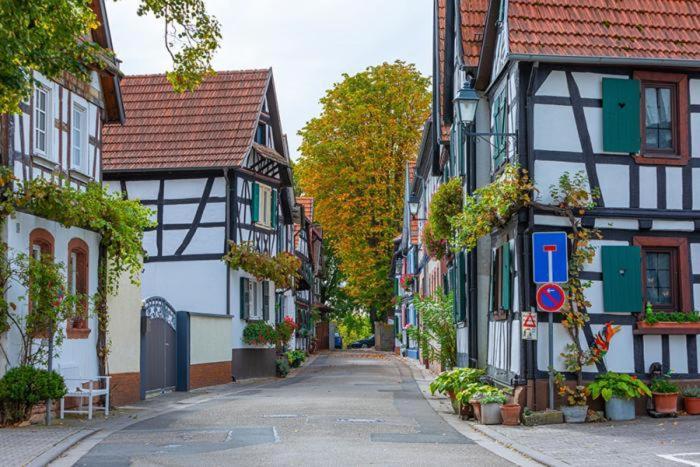 Ferienwohnung Piccolino Jockgrim Buitenkant foto